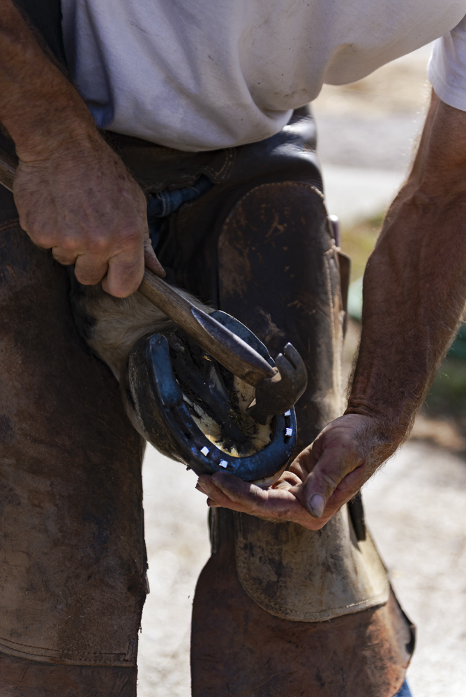 Platz 12 Christian Reichert